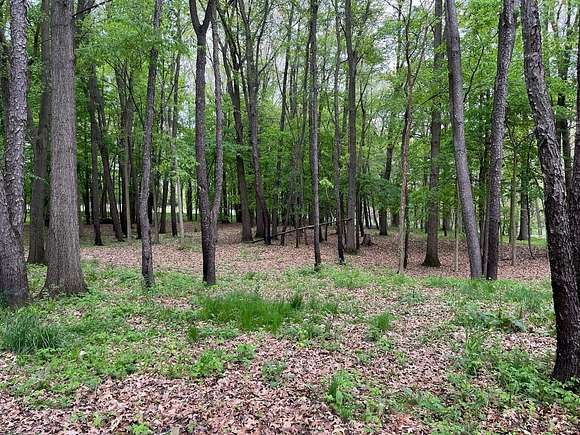 1.81 Acres of Residential Land for Sale in Morrice, Michigan