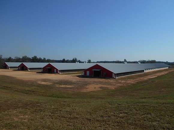 40 Acres of Improved Agricultural Land for Sale in Jayess, Mississippi