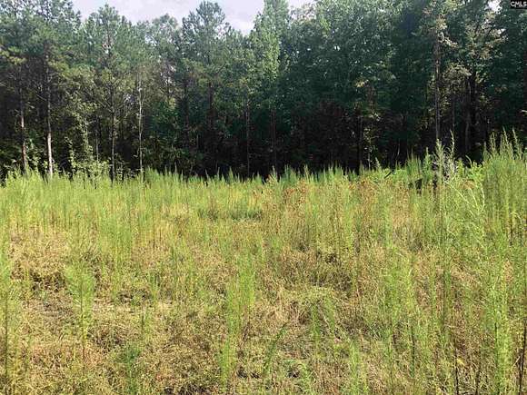 1.4 Acres of Residential Land for Sale in Elgin, South Carolina