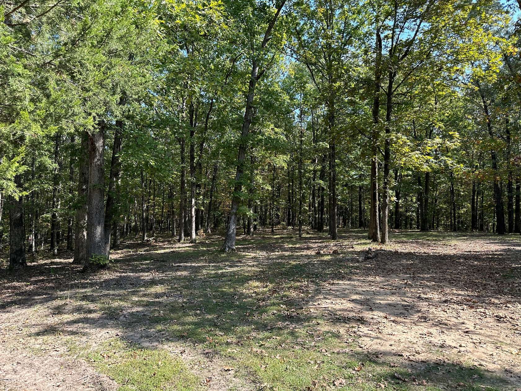 101 Acres of Recreational Land for Sale in Evening Shade, Arkansas