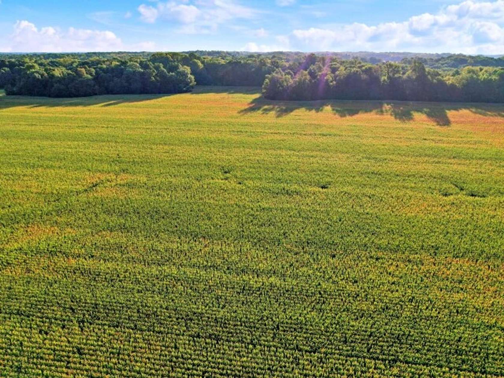 40 Acres of Agricultural Land for Sale in Brazil, Indiana