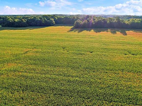 40 Acres of Agricultural Land for Sale in Brazil, Indiana