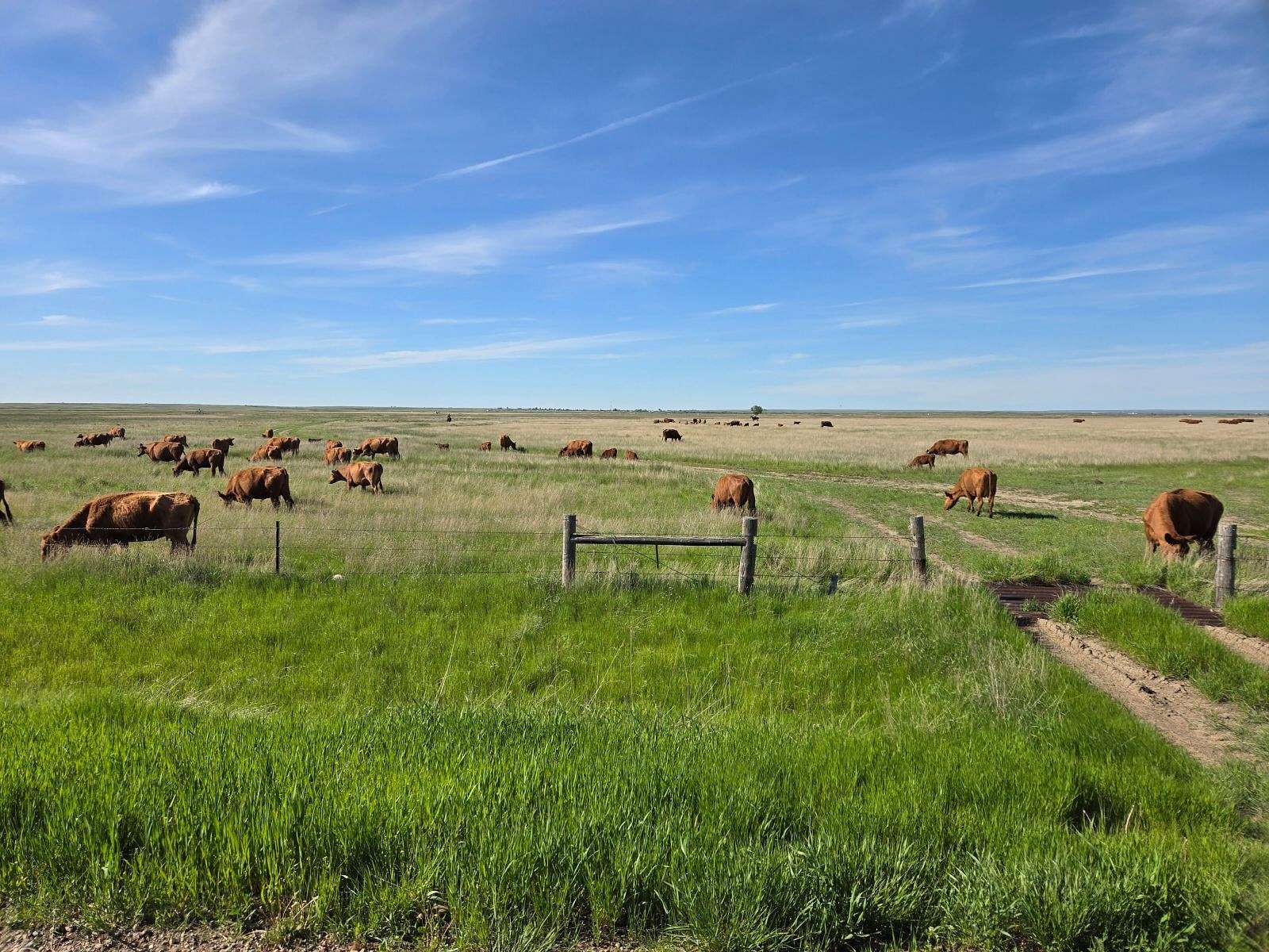 1,193.74 Acres of Recreational Land & Farm for Sale in Malta, Montana