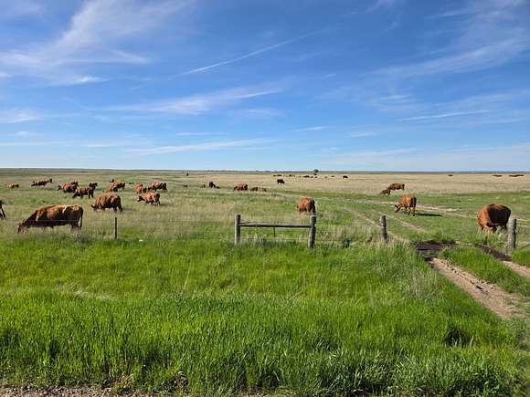 1,193.74 Acres of Recreational Land & Farm for Sale in Malta, Montana