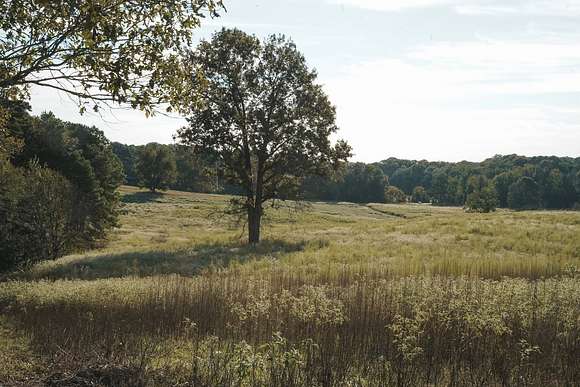 21 Acres of Land for Sale in Choudrant, Louisiana