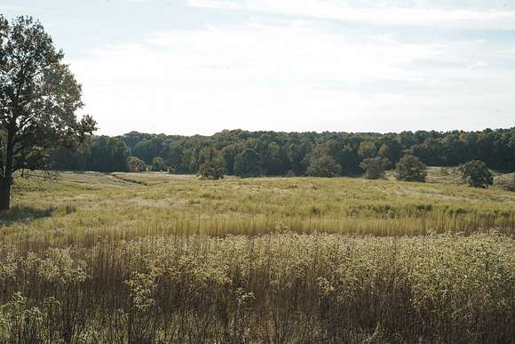 40 Acres of Land for Sale in Choudrant, Louisiana