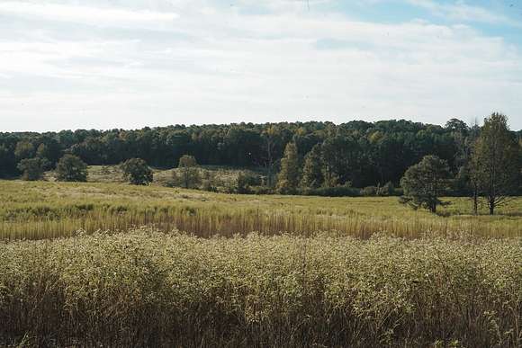 35 Acres of Land for Sale in Choudrant, Louisiana