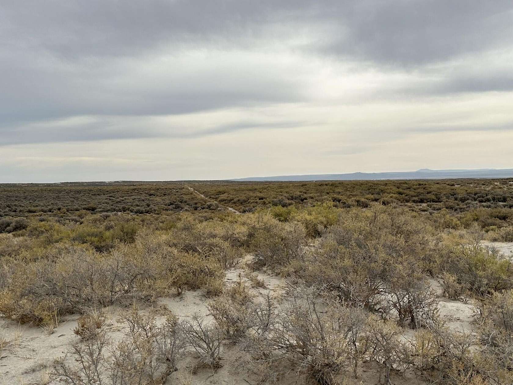 20 Acres of Agricultural Land for Sale in Christmas Valley, Oregon