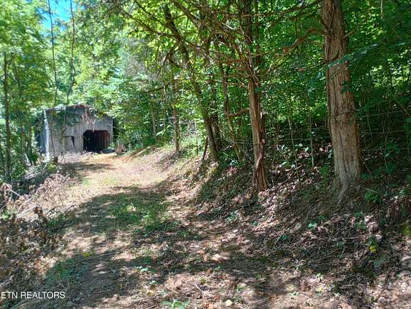 20 Acres of Recreational Land & Farm for Sale in Tazewell, Tennessee