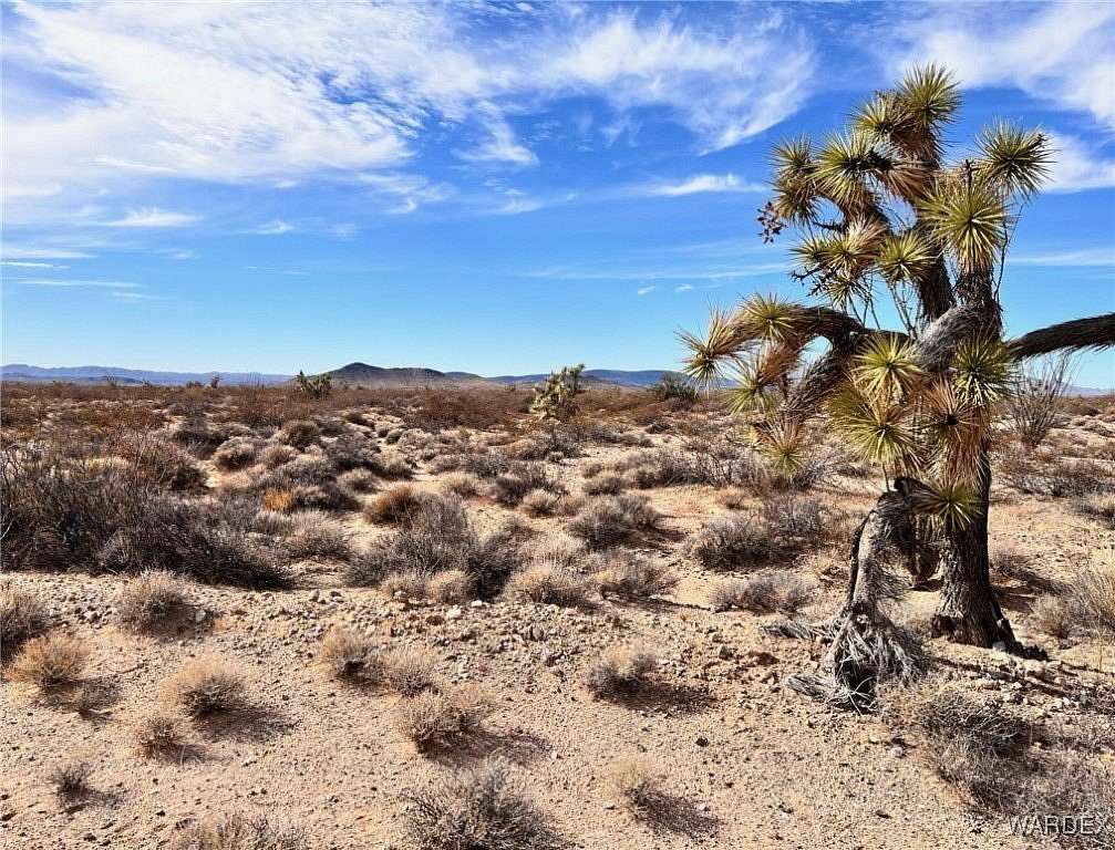 1.244 Acres of Residential Land for Sale in Yucca, Arizona