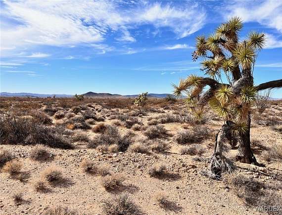 1.244 Acres of Residential Land for Sale in Yucca, Arizona