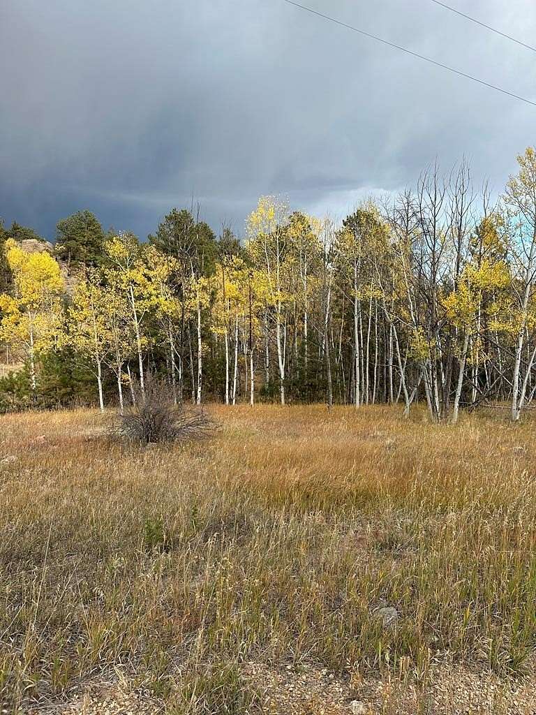 5 Acres of Residential Land for Sale in Guffey, Colorado