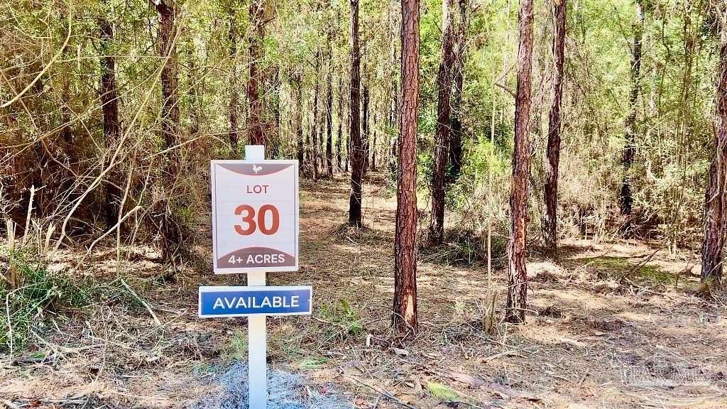 4.02 Acres of Residential Land for Sale in Jay, Florida