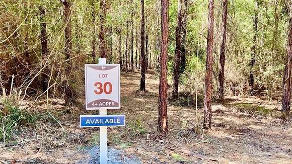 4.02 Acres of Residential Land for Sale in Jay, Florida