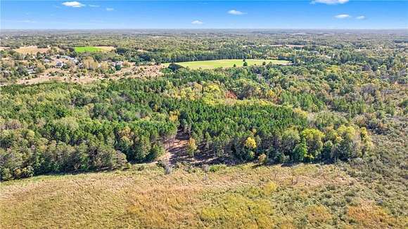 20 Acres of Land for Sale in North Branch Township, Minnesota