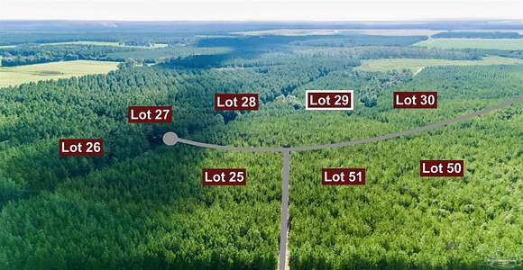 4.07 Acres of Residential Land for Sale in Jay, Florida