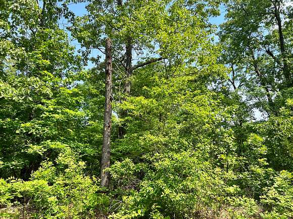 0.28 Acres of Residential Land for Sale in Horseshoe Bend, Arkansas