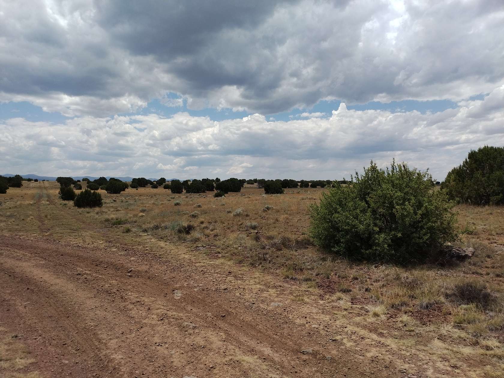 1.05 Acres of Residential Land for Sale in Concho, Arizona