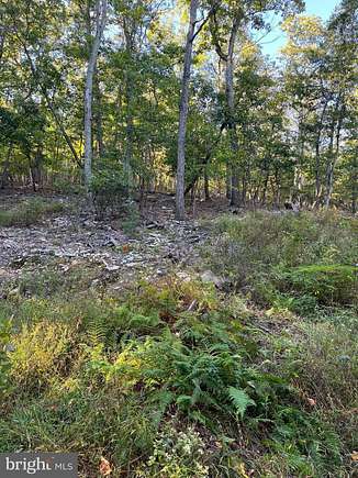 0.7 Acres of Residential Land for Sale in Haymarket, Virginia