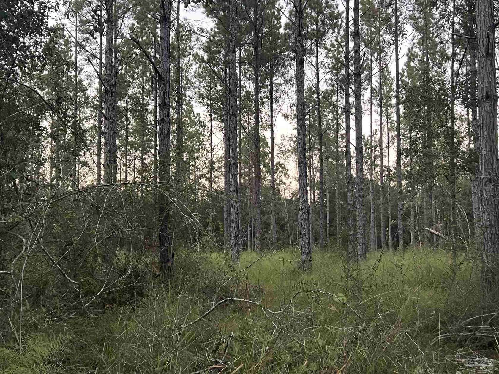 5 Acres of Residential Land for Sale in Pace, Florida