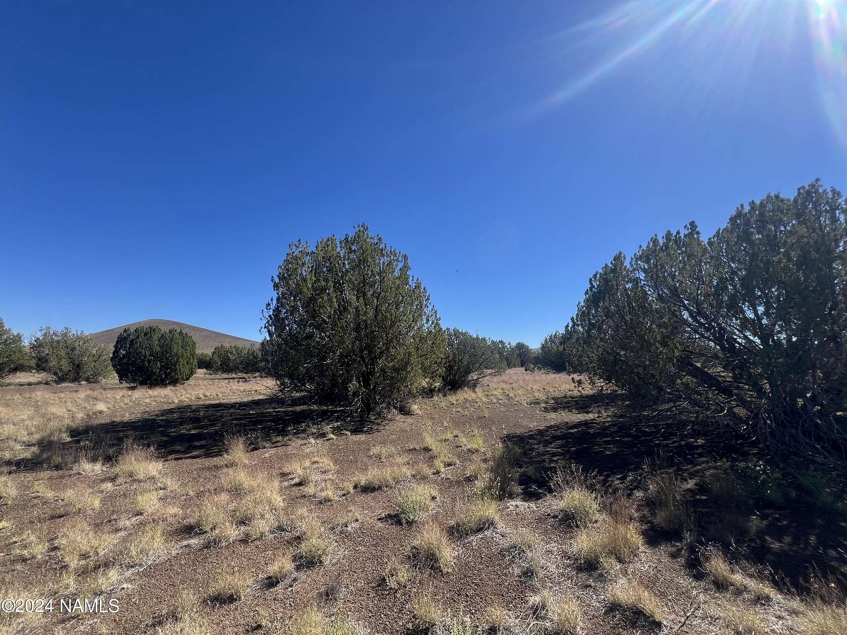 10.02 Acres of Recreational Land for Sale in Flagstaff, Arizona