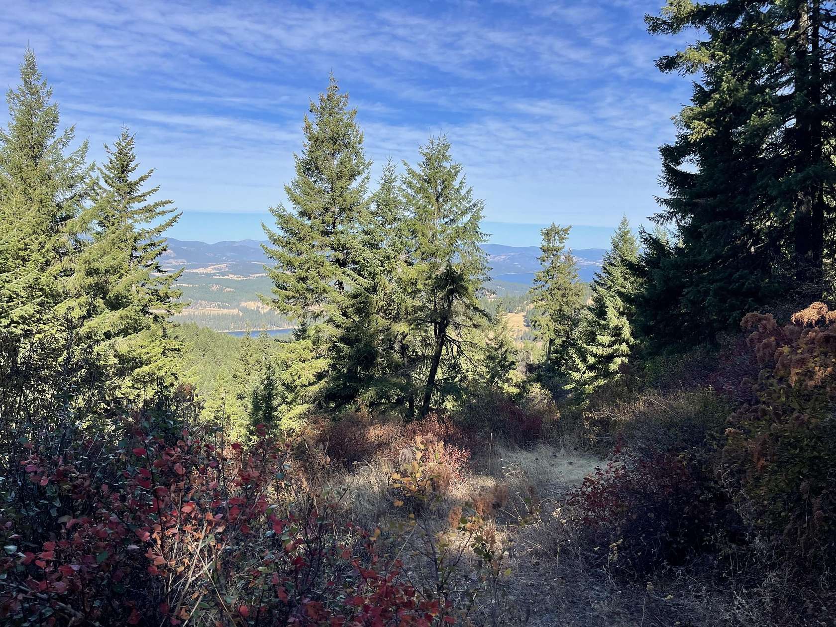 60 Acres of Recreational Land for Sale in Hunters, Washington