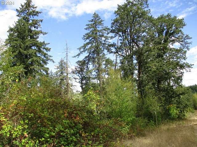 80 Acres of Recreational Land for Sale in Lebanon, Oregon