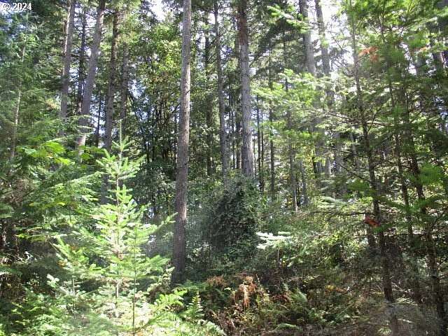 161 Acres of Recreational Land for Sale in Lebanon, Oregon