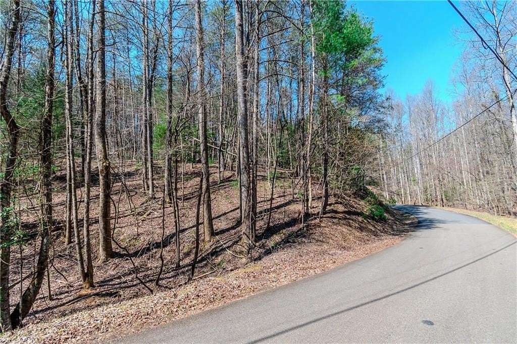 1 Acre of Residential Land for Sale in Ellijay, Georgia