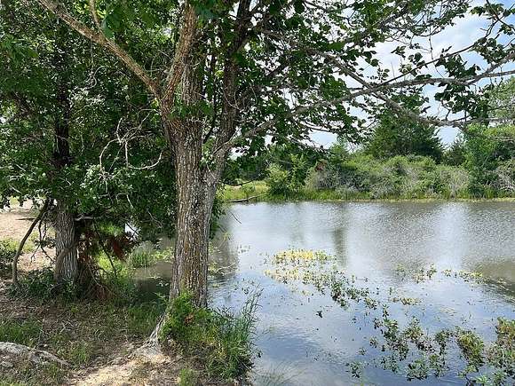 51.586 Acres of Recreational Land & Farm for Sale in Flatonia, Texas