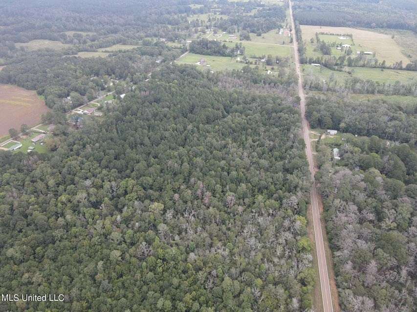 42 Acres of Improved Land for Sale in Forest, Mississippi