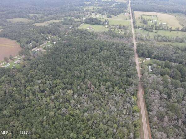42 Acres of Land with Home for Sale in Forest, Mississippi