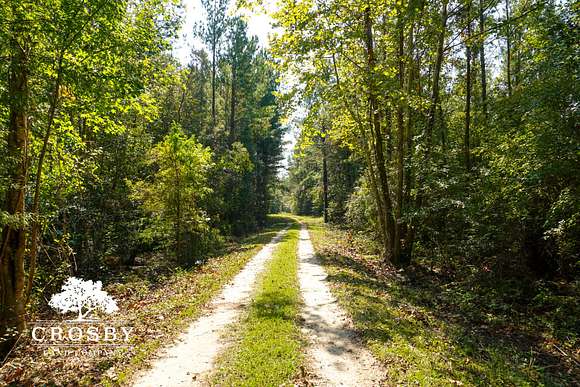 275.8 Acres of Recreational Land & Farm for Sale in Bamberg, South Carolina