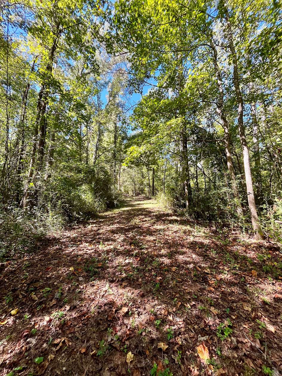 16 Acres of Recreational Land for Sale in Ashland, Alabama