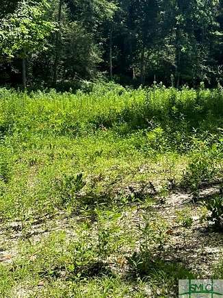 32.4 Acres of Land for Sale in Guyton, Georgia