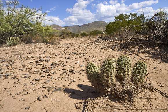 5.036 Acres of Mixed-Use Land for Sale in Alamogordo, New Mexico