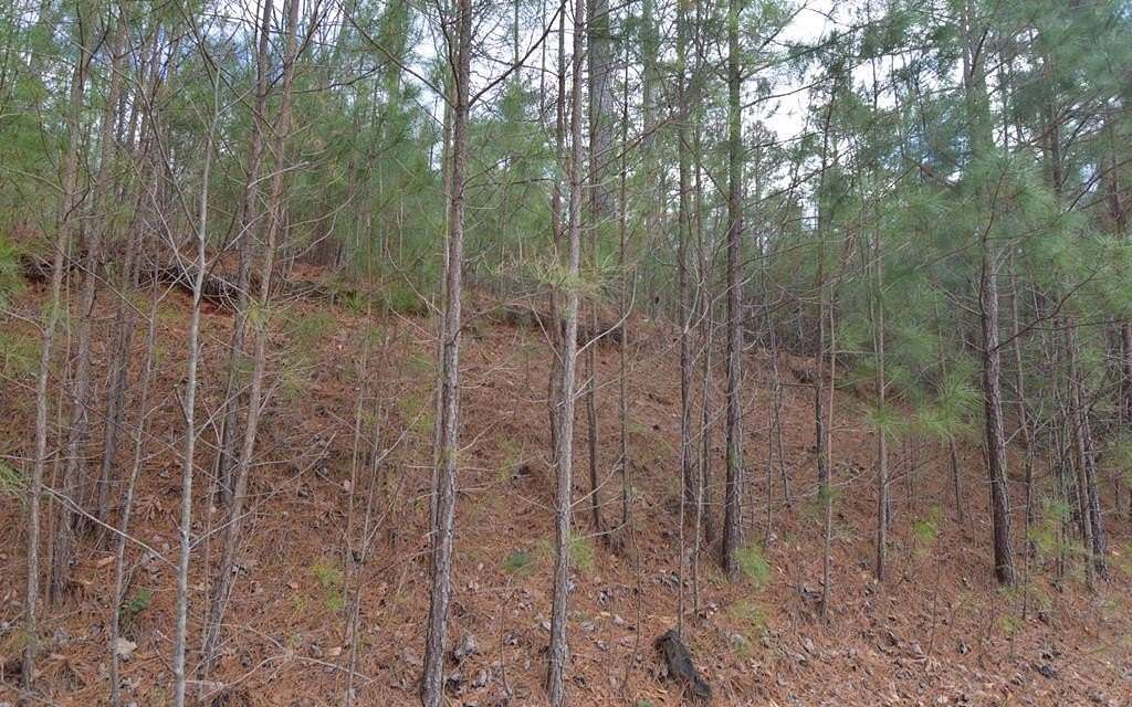 2.19 Acres of Land for Sale in Young Harris, Georgia