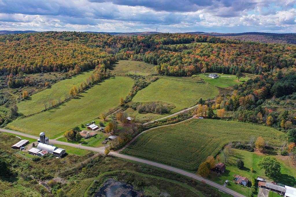 83 Acres of Land with Home for Sale in Lockwood, New York