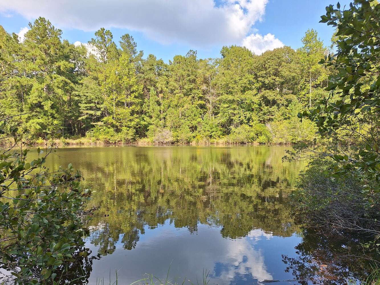 40 Acres of Recreational Land for Sale in Lapine, Alabama