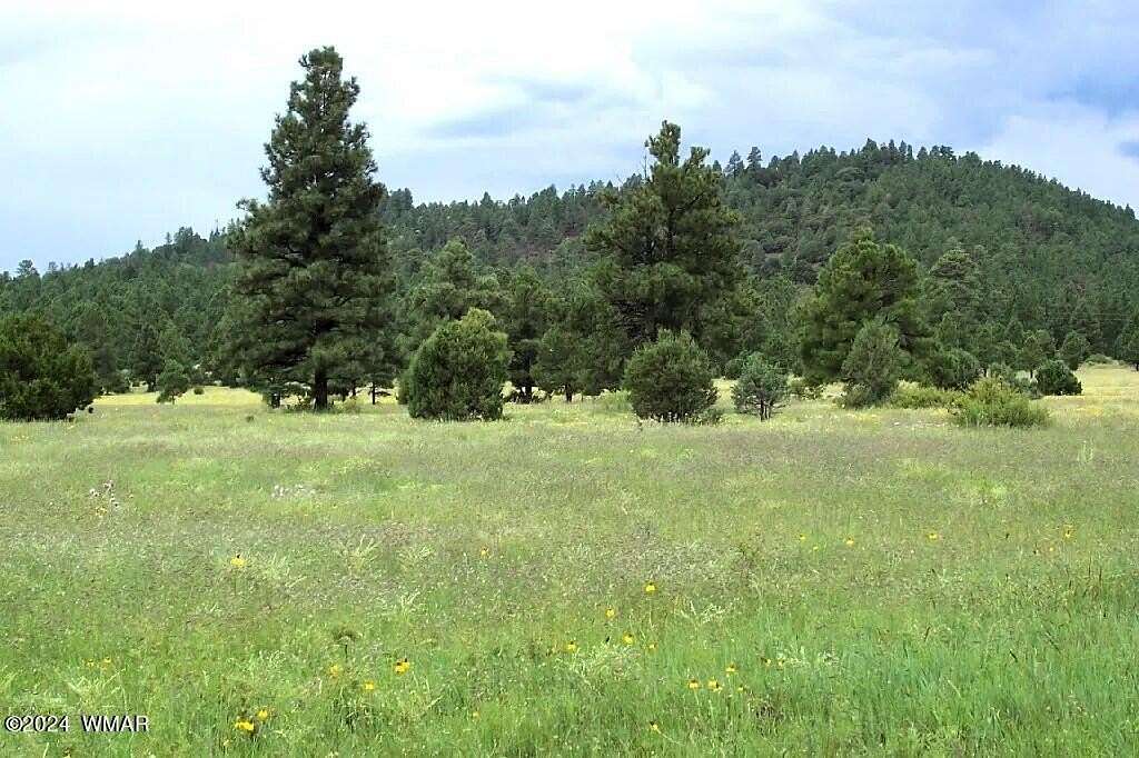 11.46 Acres of Land for Sale in Vernon, Arizona