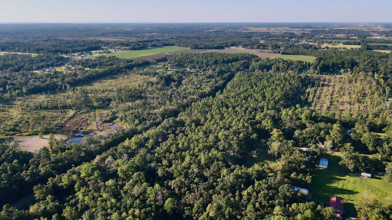 41 Acres of Recreational Land for Sale in Loxley, Alabama