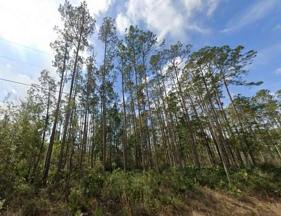 0.22 Acres of Residential Land for Sale in Interlachen, Florida