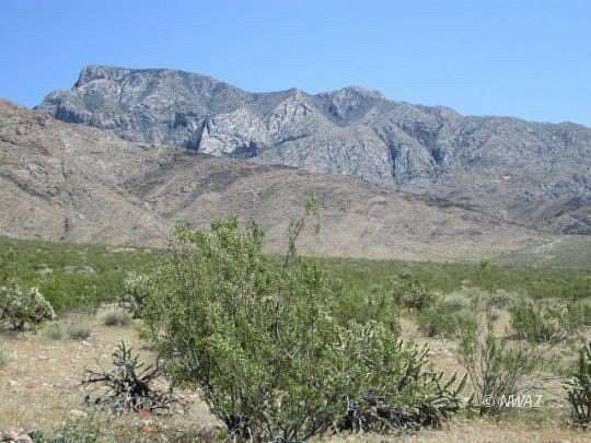 10 Acres of Land for Sale in Littlefield, Arizona