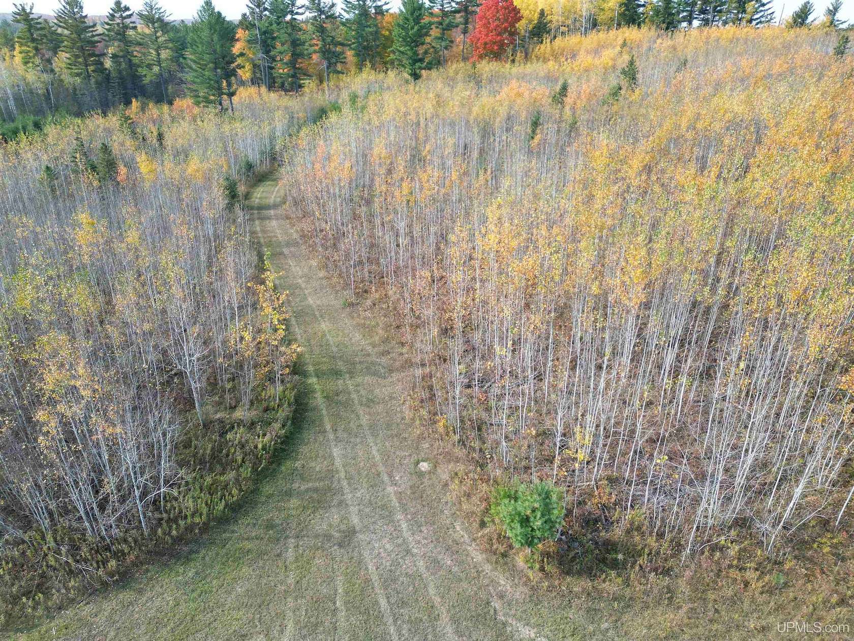 80 Acres of Recreational Land for Sale in Perronville, Michigan