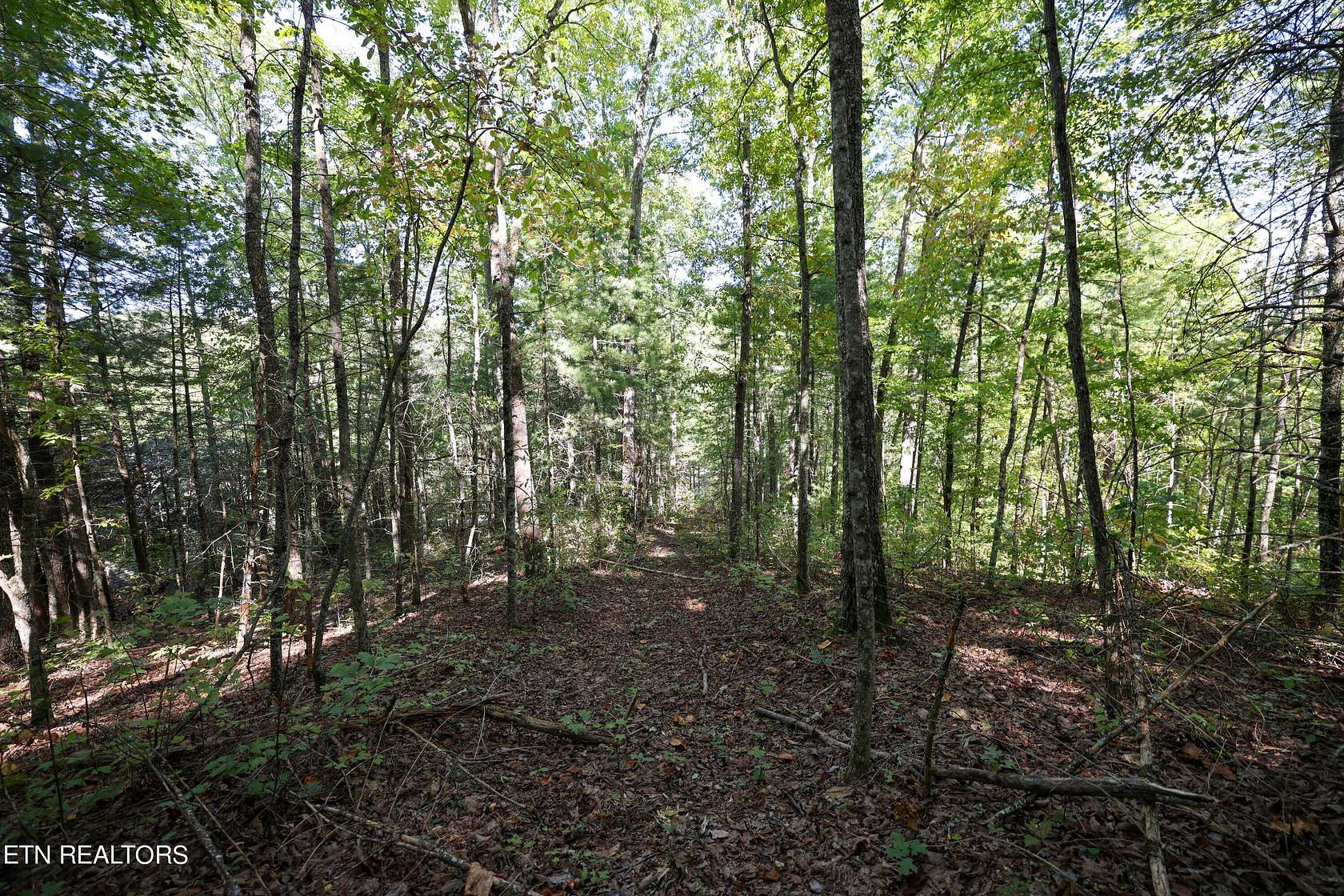 0.88 Acres of Residential Land for Sale in Townsend, Tennessee