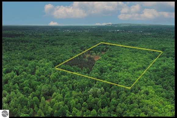 20 Acres of Recreational Land for Sale in Thompsonville, Michigan