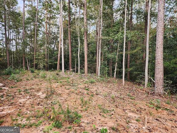 3 Acres of Residential Land for Sale in Carnesville, Georgia