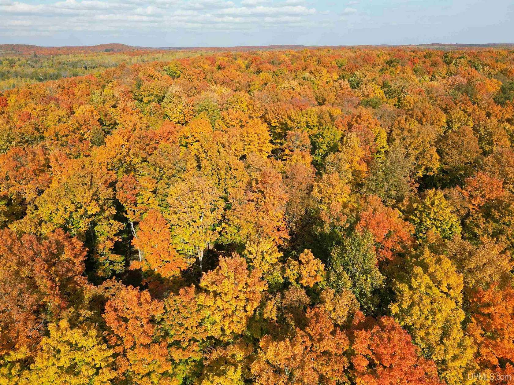 80 Acres of Recreational Land for Sale in Vulcan, Michigan