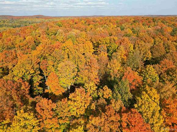 80 Acres of Recreational Land for Sale in Vulcan, Michigan