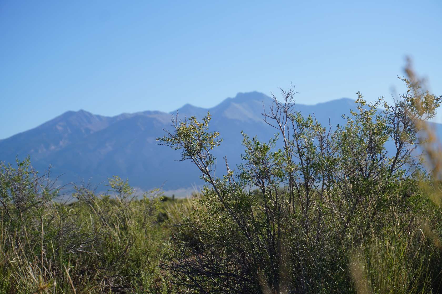 1.27 Acres of Residential Land for Sale in Alamosa, Colorado